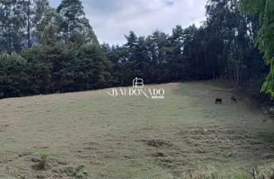 Terreno em camanducaia mg 6.000mts r$ 395mil agua mina