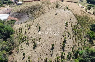 Terreno rural à venda em toledo mg com escritura regularizada 24.200 m