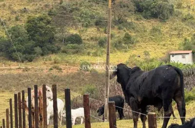 Chácara / sítio à venda no Centro, Munhoz 