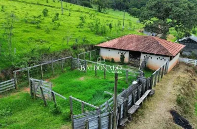 Sítio à venda munhoz mg com escritura 13 alqueires oportunidade