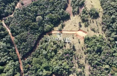 Terreno comercial à venda no Centro, Toledo 