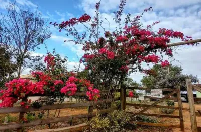 Chácara / sítio com 2 quartos à venda em calado, ouro branco , 80 m2 por r$ 290.000