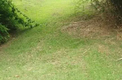 Chácara / sítio com 3 quartos à venda na Rua Marcília de Moraes Estevan, Terras de Itaici, Indaiatuba