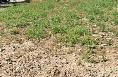 Terreno à venda na Rua Pero de Campos Tourinho, Jardim Santa Marta III, Salto