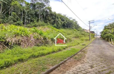 Terreno à venda, 5600 m² por r$ 1.000.000,00 - velha - blumenau/sc