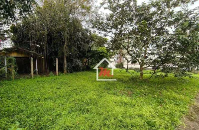 Procurando o local perfeito para construir a casa dos seus sonhos? não perca a oportunidade de conhecer esse excelente terreno na itoup. seca