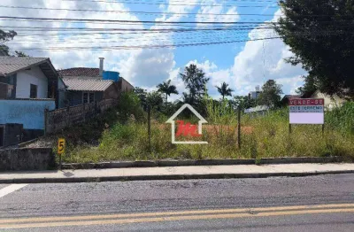 Deseja um lugar especial para construir sua casa ou ponto comercial dos seus sonhos?  então venha conhecer esse excelente terreno na velha.