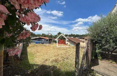 Terreno à venda, 372 m² por r$ 325.000,00 - velha - blumenau/sc