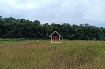 Terreno à venda, 300 m² por r$ 185.000,00 - itoupava central - blumenau/sc