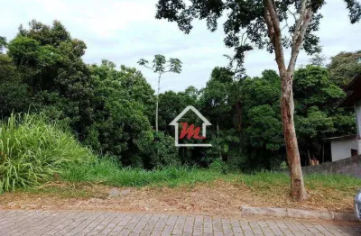 Terreno à venda, 361 m² por r$ 158.000,00 - ribeirão das pedras - indaial/sc