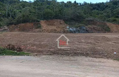 Terreno à venda, 342 m² por r$ 220.000,00 - velha central - blumenau/sc