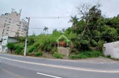 Terreno à venda, 9370 m² por r$ 1.300.000,00 - velha - blumenau/sc
