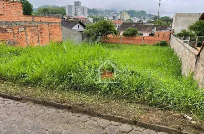 Terreno à venda, 450 m² por r$ 450.000,00 - velha - blumenau/sc