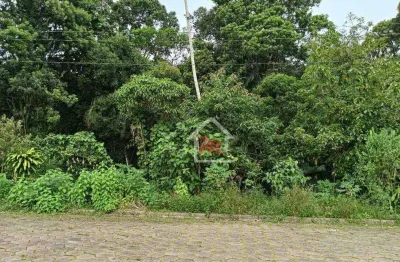 Terreno à venda, 450 m² por r$ 100.000 - itoupava central - blumenau/sc