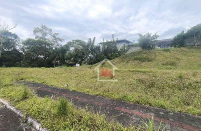 Terreno à venda, 801 m² por r$ 480.000,00 - itoupavazinha - blumenau/sc