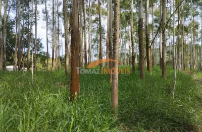 Terreno à venda na figueira grande, 1000, zona rural, imaruí por r$ 470.000