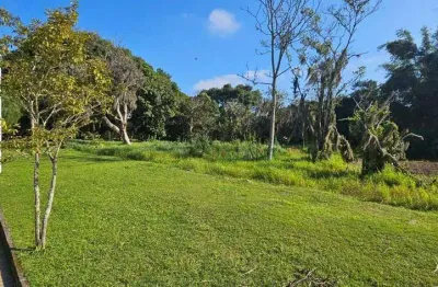 Terreno à venda, 3000 m² por r$ 1.450.000,00 - ratones - florianópolis/sc
