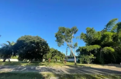 Terreno à venda na rua intendente antônio damasco, 2430, ratones, florianópolis por r$ 599.000