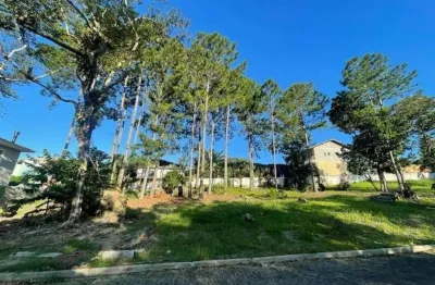 Terreno à venda na rua intendente antônio damasco, 2430, ratones, florianópolis por r$ 599.000