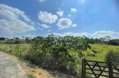 Área à venda, 24666 m² por r$ 22.200.255,00 - pinhão - taubaté/sp