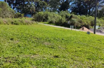 Terreno à venda na Avenida Belvedere, 01, São Luiz, Caxias do Sul