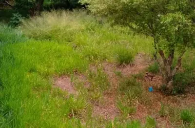 Excelente terreno no bairro vila rica , região do putim , boa localização, próximo do super mercado máximo , açougue, escola , posto de saúde  , farmácia