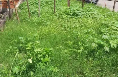 Terreno à venda, 215 m² por r$ 290.000,00 - parque das américas - mauá/sp