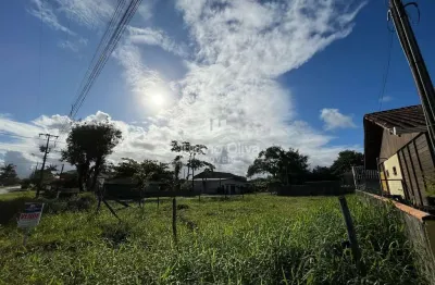 Terreno à venda na Av. Damião Botelho De Souza, Barra do Sai, Itapoá