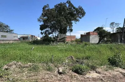 Terreno à venda na Rua 420 Avelino Enoch Rodrigues Vieira, Barra do Sai, Itapoá