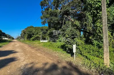 Terreno à venda na Rua 420 Avelino Enoch Rodrigues Vieira, Barra do Sai, Itapoá