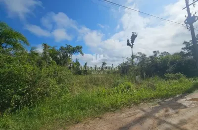 Terreno à venda na Rua Dos Tupinambás, Barra do Sai, Itapoá
