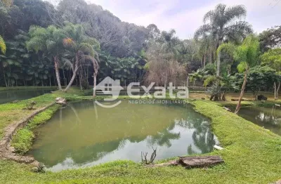 Chácara / sítio com 3 quartos à venda na Estrada Vicinal Giacomo Bassi, 110, Centro, Piedade