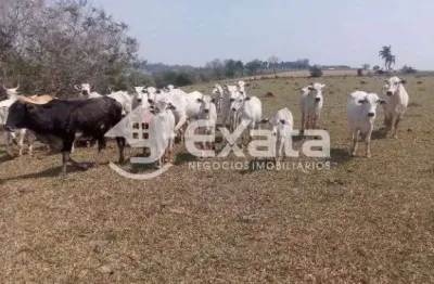 Chácara / sítio com 1 quarto à venda na Estrada Das Orquideas, 1, Centro, Itapetininga