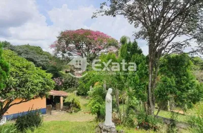 Chácara / sítio com 5 quartos à venda na Rua Doze, 200, Centro, Piedade