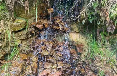 Fazenda à venda no Pinheiral, Major Gercino 