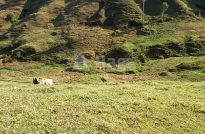 Chácara / sítio à venda na Barra Clara, Angelina 