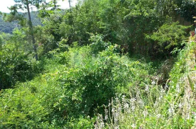 Terreno à venda no Azambuja, Brusque 
