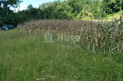 Terreno à venda no São Pedro, Guabiruba 