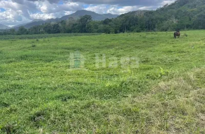 Chácara / sítio à venda no Moura, Canelinha 