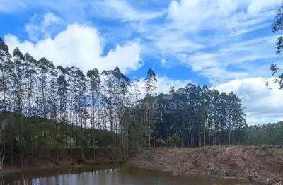 Fazenda à venda no Centro, Major Gercino 