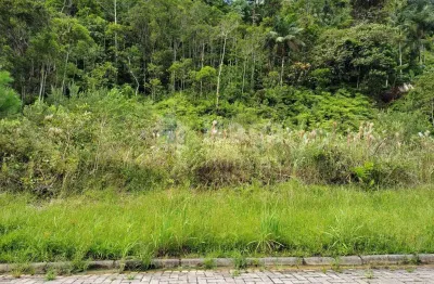 Terreno à venda no bairro nova brasília em brusque/sc