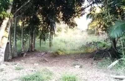 Fazenda à venda no Imigrantes, Guabiruba 