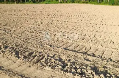 Fazenda à venda na Galera, Canelinha 