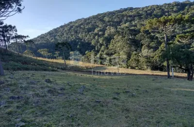 Terreno para chácara á venda em bom jardim da serra/sc