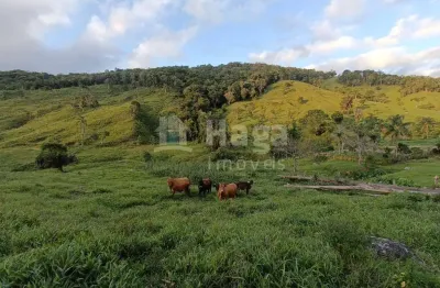 Chácara / sítio com 2 quartos à venda na Barra Clara, Angelina 