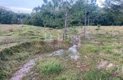 Chácara / sítio à venda em Claraíba, Nova Trento 