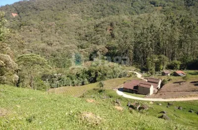 Chácara / sítio com 5 quartos à venda na Zona Rural, Major Gercino 