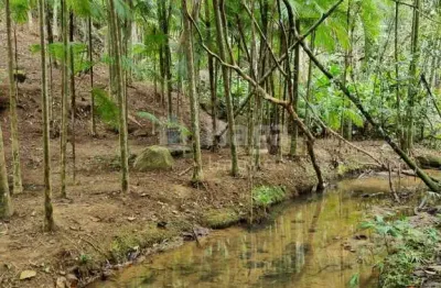 Chácara / sítio à venda em Claraíba, Nova Trento 