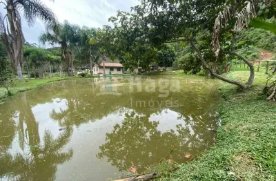 Chácara / sítio com 3 quartos à venda na Ponta Fina Sul, Nova Trento 