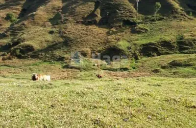 Chácara / sítio à venda na Barra Clara, Angelina 